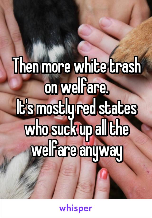 Then more white trash on welfare.
It's mostly red states who suck up all the welfare anyway