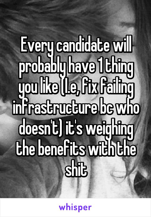 Every candidate will probably have 1 thing you like (I.e, fix failing infrastructure bc who doesn't) it's weighing the benefits with the shit