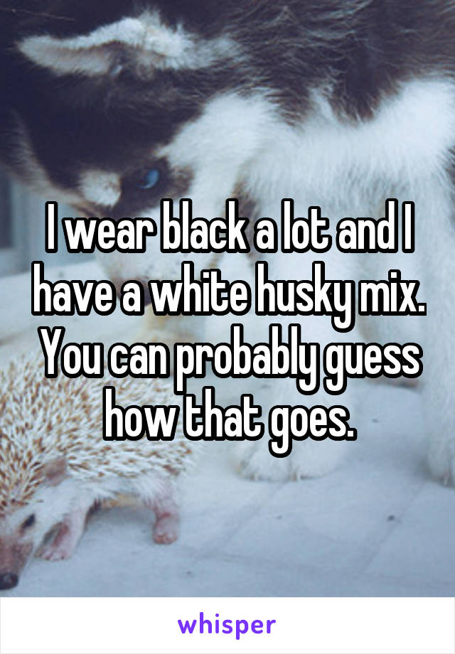 I wear black a lot and I have a white husky mix. You can probably guess how that goes.