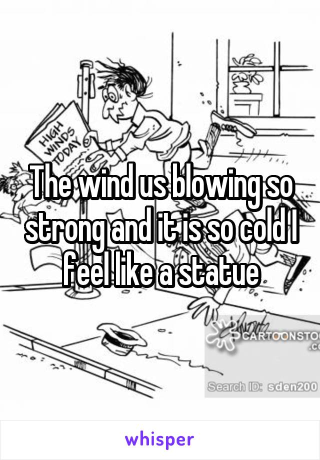 The wind us blowing so strong and it is so cold I feel like a statue
