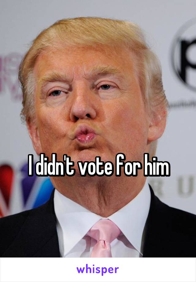 

I didn't vote for him