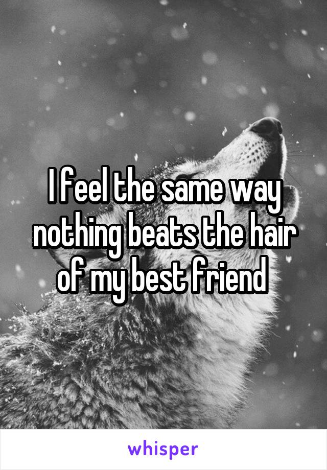 I feel the same way nothing beats the hair of my best friend 