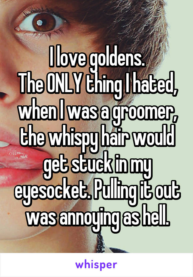 I love goldens.
The ONLY thing I hated, when I was a groomer, the whispy hair would get stuck in my eyesocket. Pulling it out was annoying as hell.