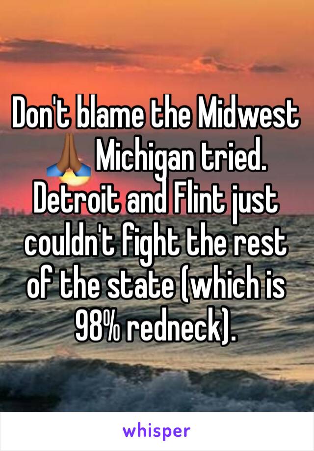 Don't blame the Midwest 🙏🏾 Michigan tried. Detroit and Flint just couldn't fight the rest of the state (which is 98% redneck). 