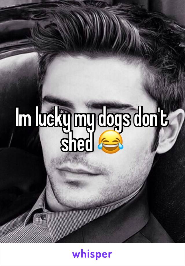 Im lucky my dogs don't shed 😂