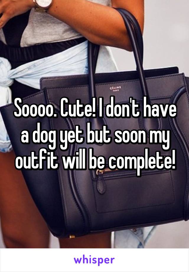 Soooo. Cute! I don't have a dog yet but soon my outfit will be complete!