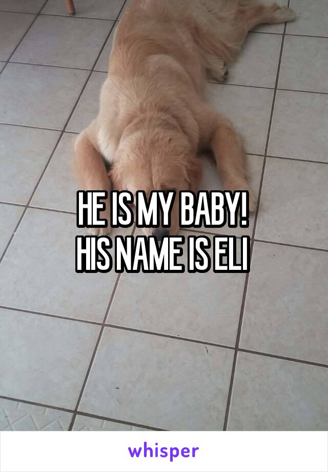 HE IS MY BABY! 
HIS NAME IS ELI 