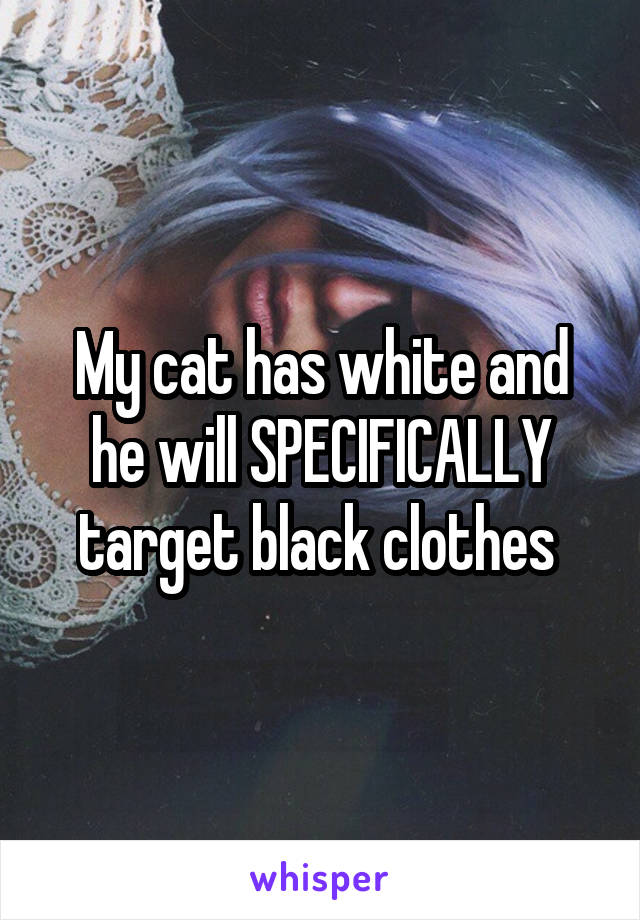 My cat has white and he will SPECIFICALLY target black clothes 
