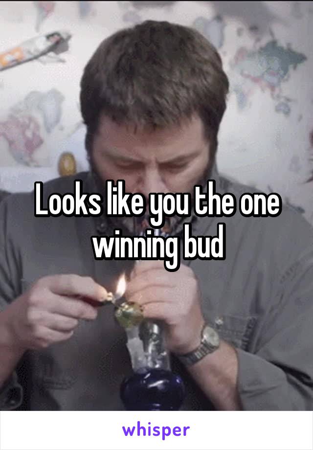 Looks like you the one winning bud