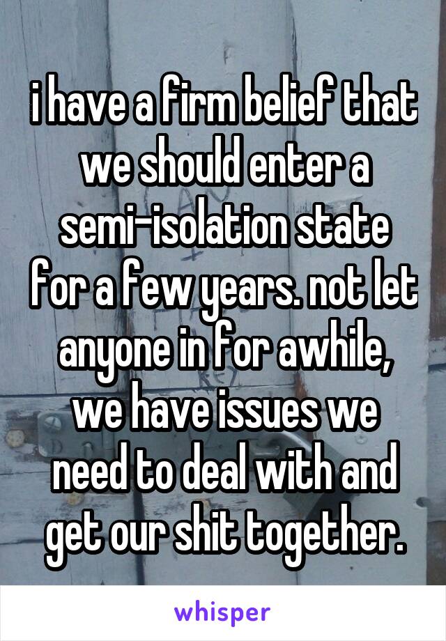 i have a firm belief that we should enter a semi-isolation state for a few years. not let anyone in for awhile, we have issues we need to deal with and get our shit together.