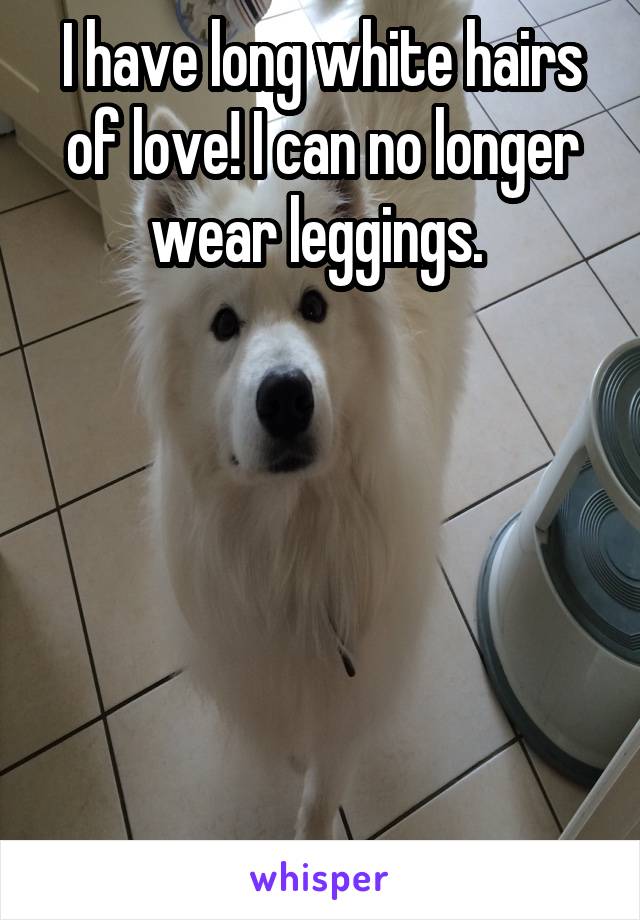 I have long white hairs of love! I can no longer wear leggings. 






