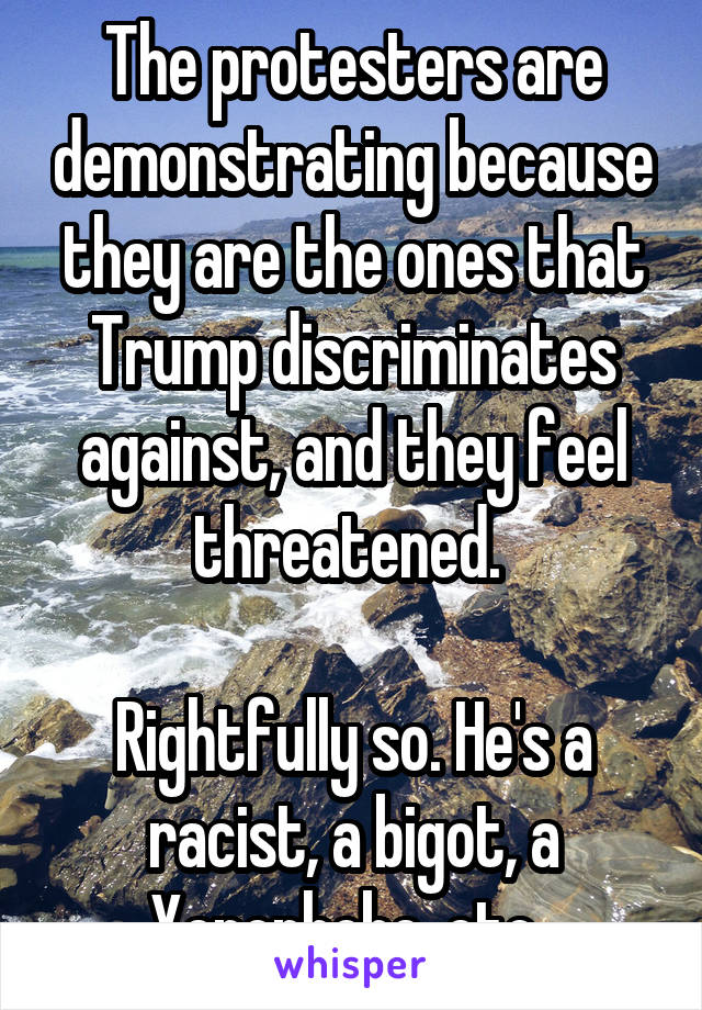 The protesters are demonstrating because they are the ones that Trump discriminates against, and they feel threatened. 

Rightfully so. He's a racist, a bigot, a Xenophobe, etc. 