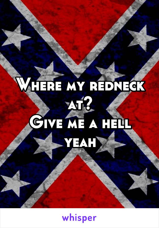 Where my redneck at?
Give me a hell yeah