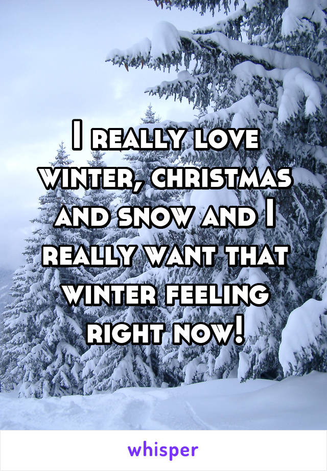 I really love winter, christmas and snow and I really want that winter feeling right now!