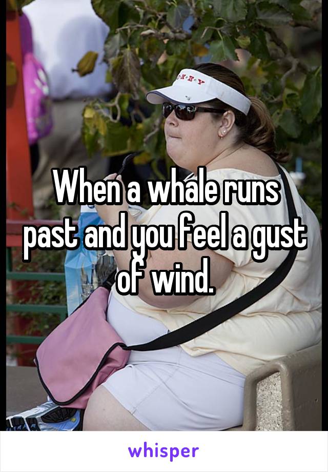 When a whale runs past and you feel a gust of wind.