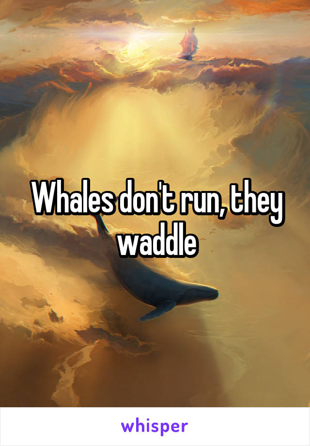 Whales don't run, they waddle