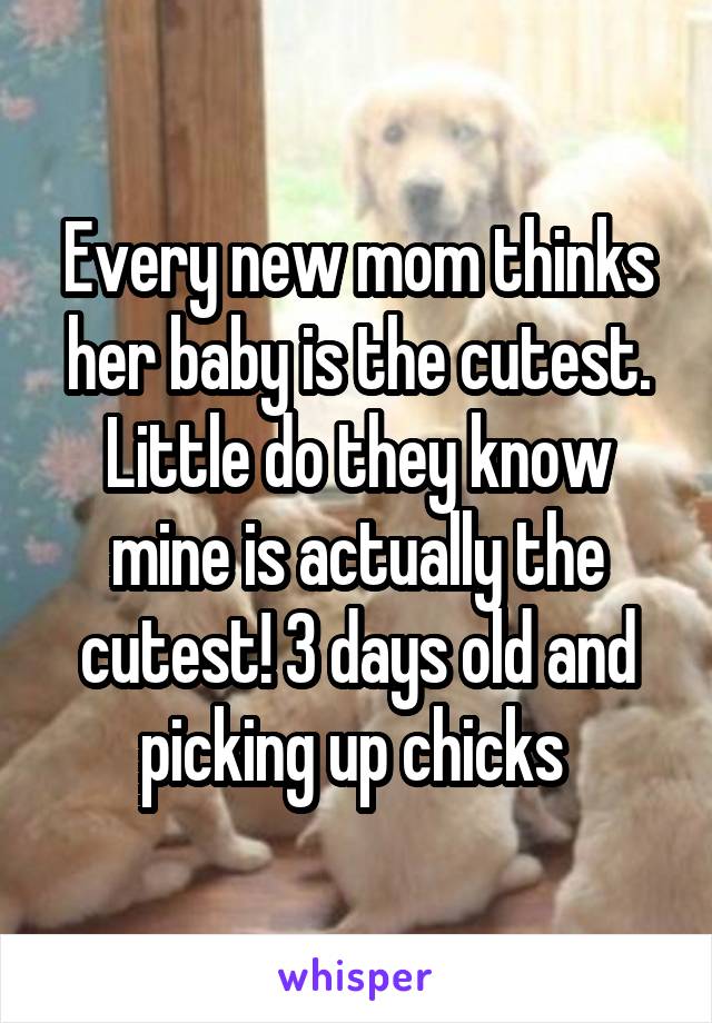 Every new mom thinks her baby is the cutest. Little do they know mine is actually the cutest! 3 days old and picking up chicks 