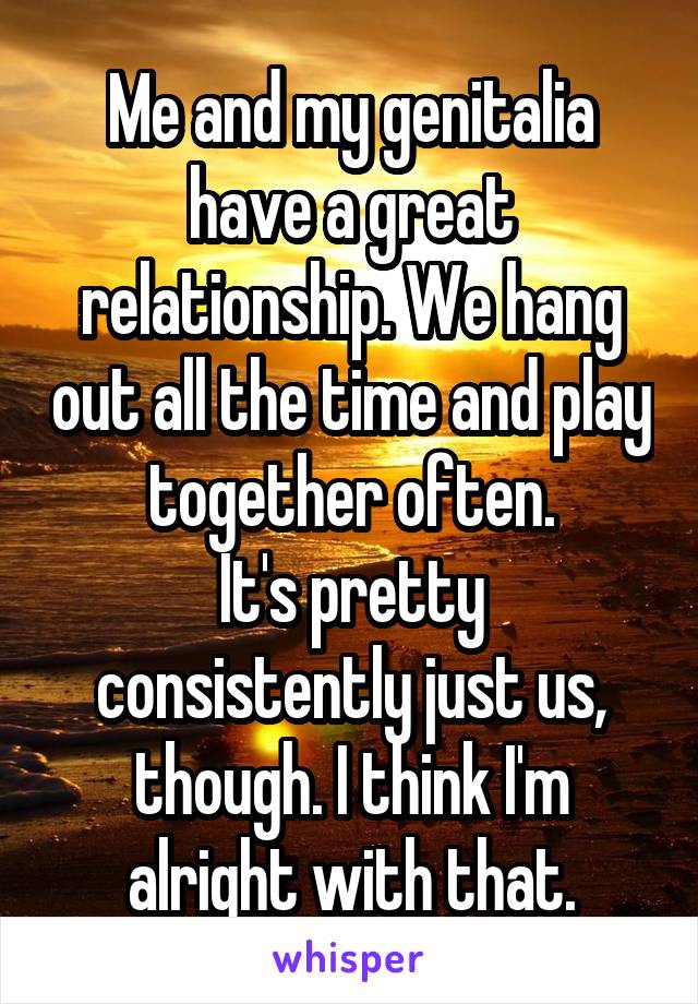 Me and my genitalia have a great relationship. We hang out all the time and play together often.
It's pretty consistently just us, though. I think I'm alright with that.