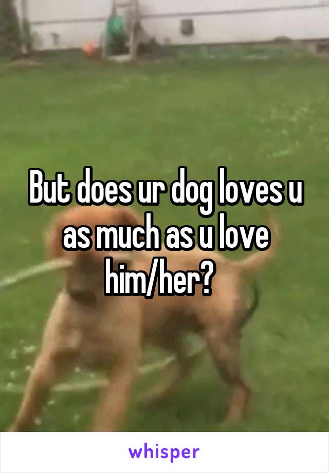 But does ur dog loves u as much as u love him/her?  