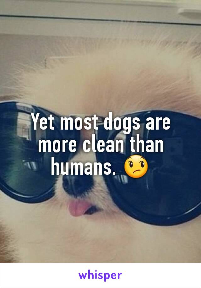 Yet most dogs are more clean than humans. 😞