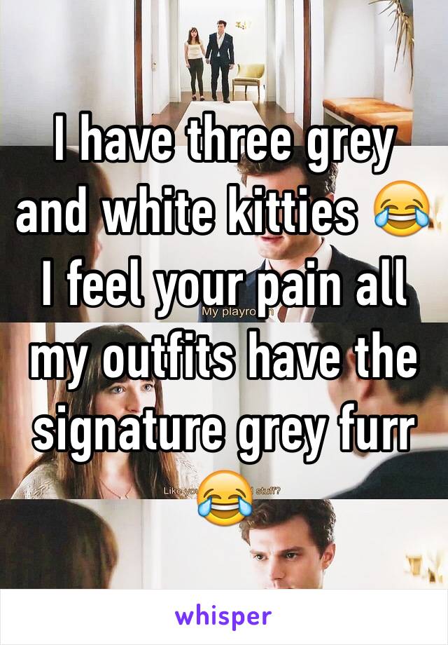 I have three grey and white kitties 😂 I feel your pain all my outfits have the signature grey furr 😂