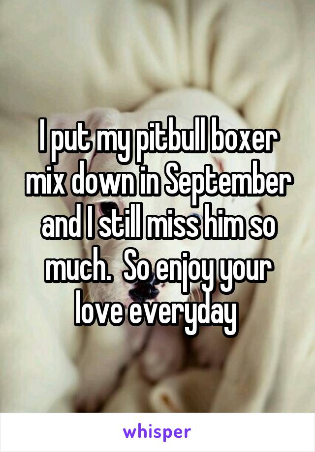 I put my pitbull boxer mix down in September and I still miss him so much.  So enjoy your love everyday 