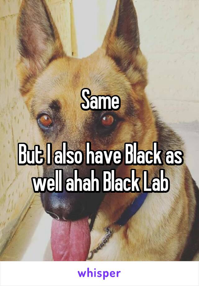Same

But I also have Black as well ahah Black Lab