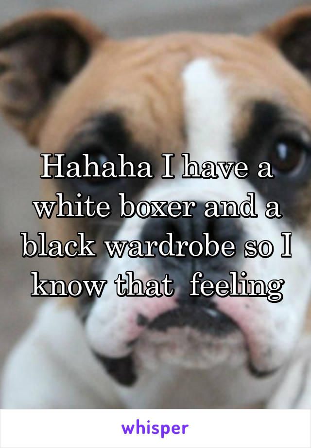 Hahaha I have a white boxer and a black wardrobe so I know that  feeling
