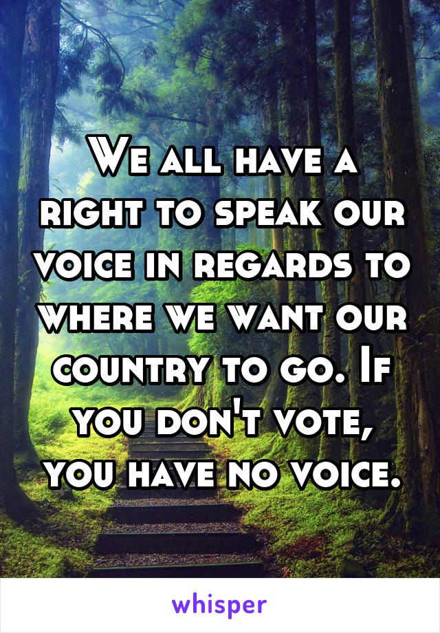 We all have a right to speak our voice in regards to where we want our country to go. If you don't vote, you have no voice.
