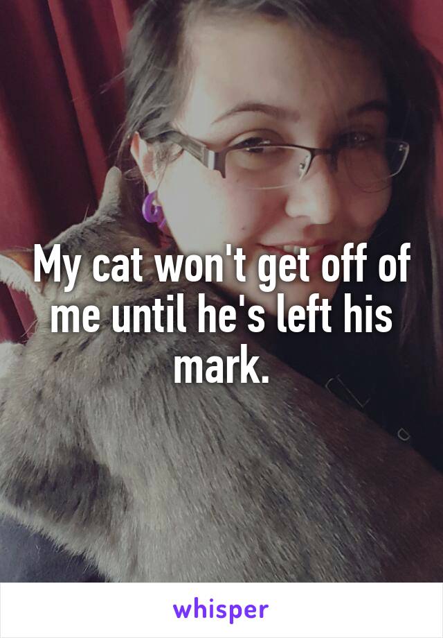 My cat won't get off of me until he's left his mark.