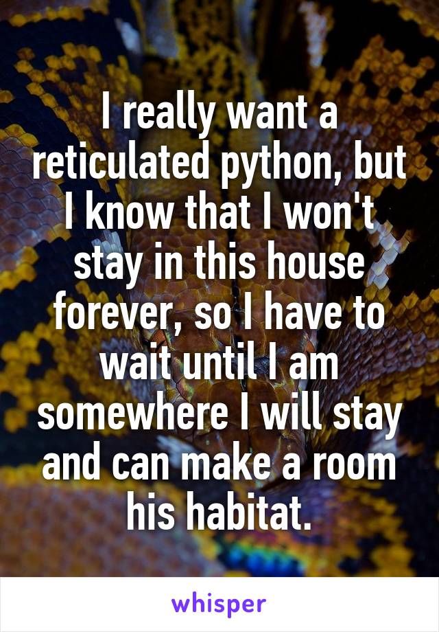 I really want a reticulated python, but I know that I won't stay in this house forever, so I have to wait until I am somewhere I will stay and can make a room his habitat.