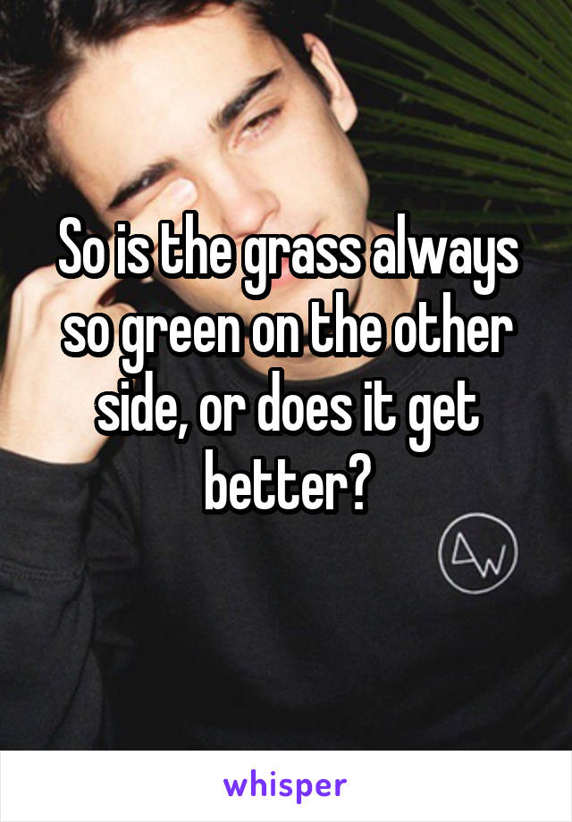 So is the grass always so green on the other side, or does it get better?
