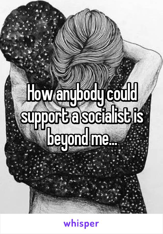 How anybody could support a socialist is beyond me...