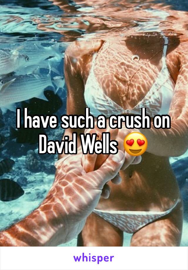 I have such a crush on David Wells 😍