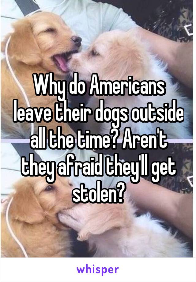 Why do Americans leave their dogs outside all the time? Aren't they afraid they'll get stolen?