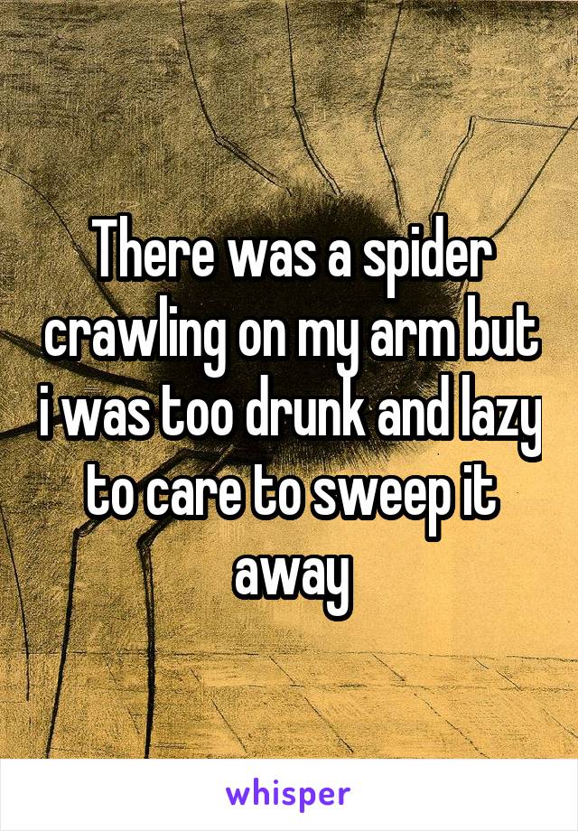 There was a spider crawling on my arm but i was too drunk and lazy to care to sweep it away