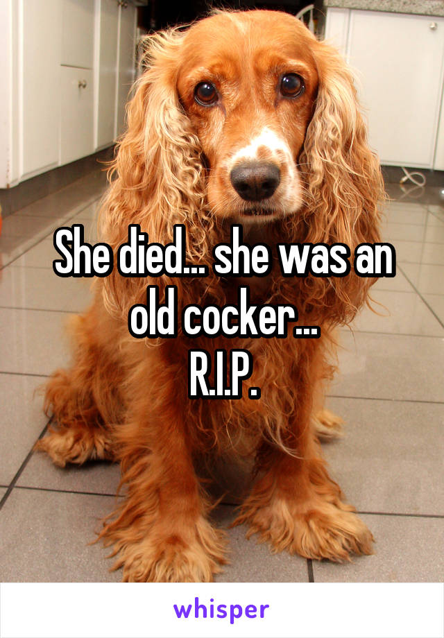 She died... she was an old cocker...
R.I.P.