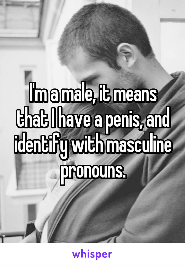 I'm a male, it means that I have a penis, and identify with masculine pronouns.