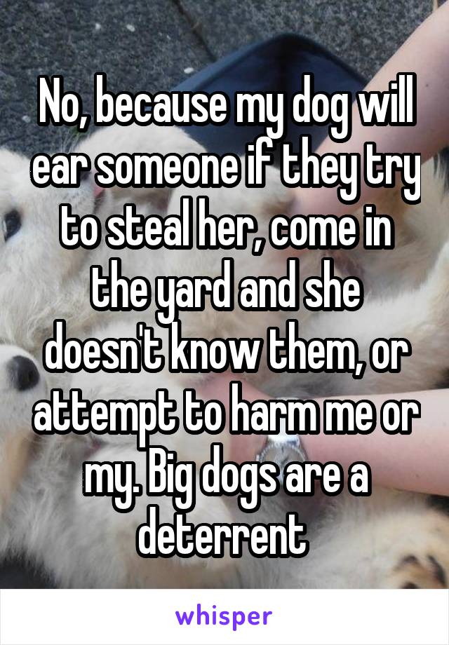 No, because my dog will ear someone if they try to steal her, come in the yard and she doesn't know them, or attempt to harm me or my. Big dogs are a deterrent 