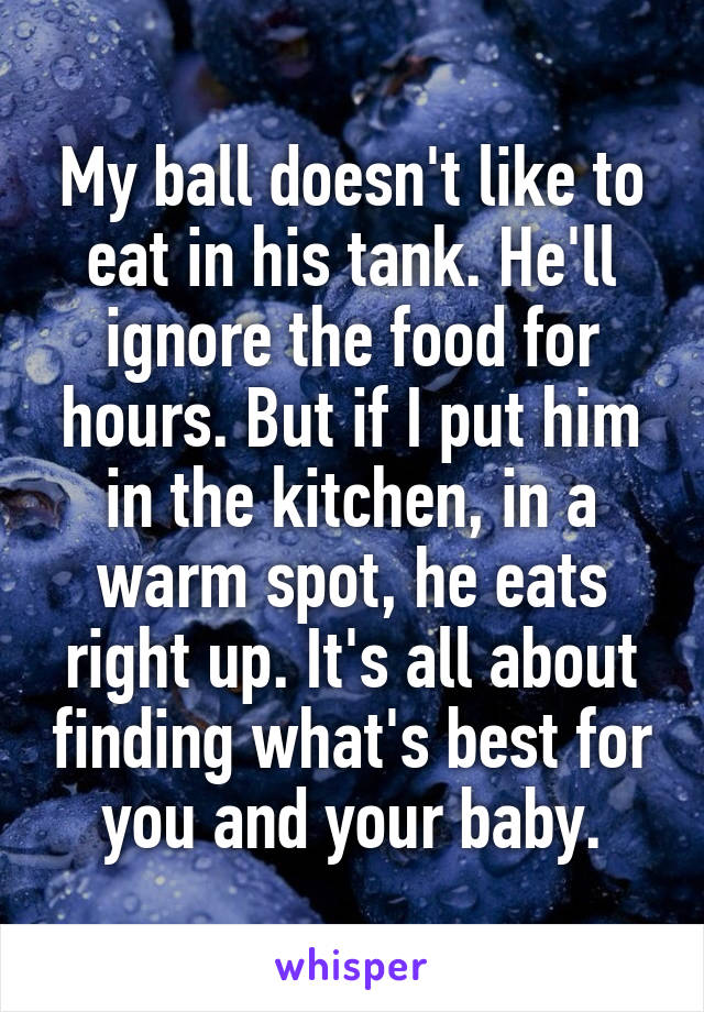 My ball doesn't like to eat in his tank. He'll ignore the food for hours. But if I put him in the kitchen, in a warm spot, he eats right up. It's all about finding what's best for you and your baby.