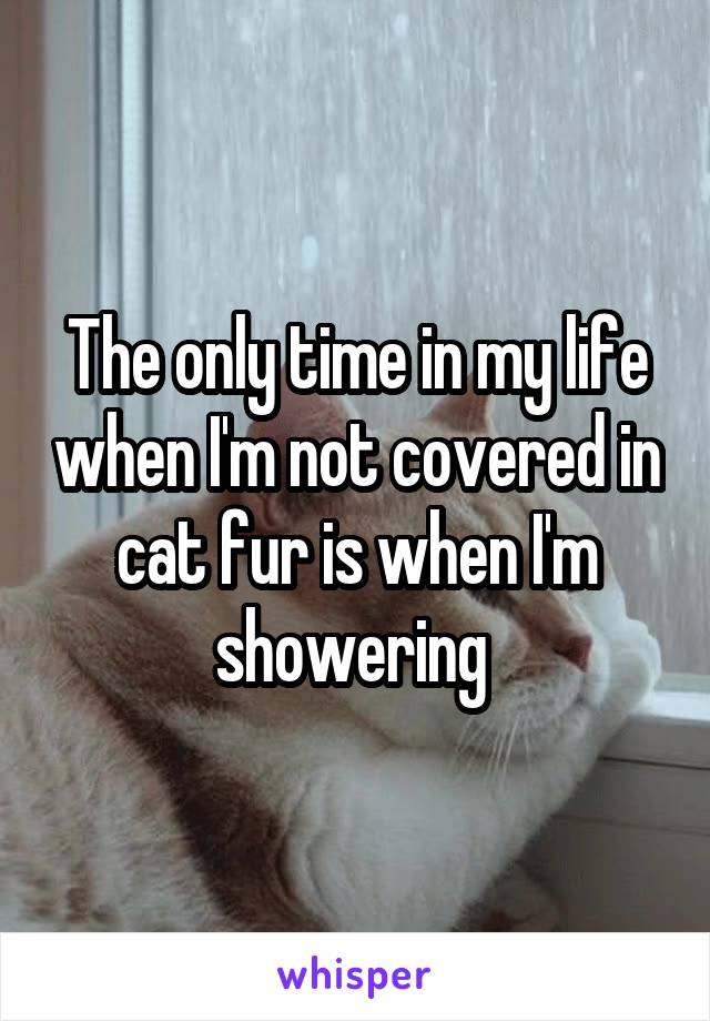 The only time in my life when I'm not covered in cat fur is when I'm showering 