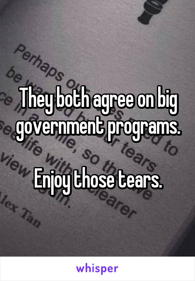 They both agree on big government programs.

Enjoy those tears.