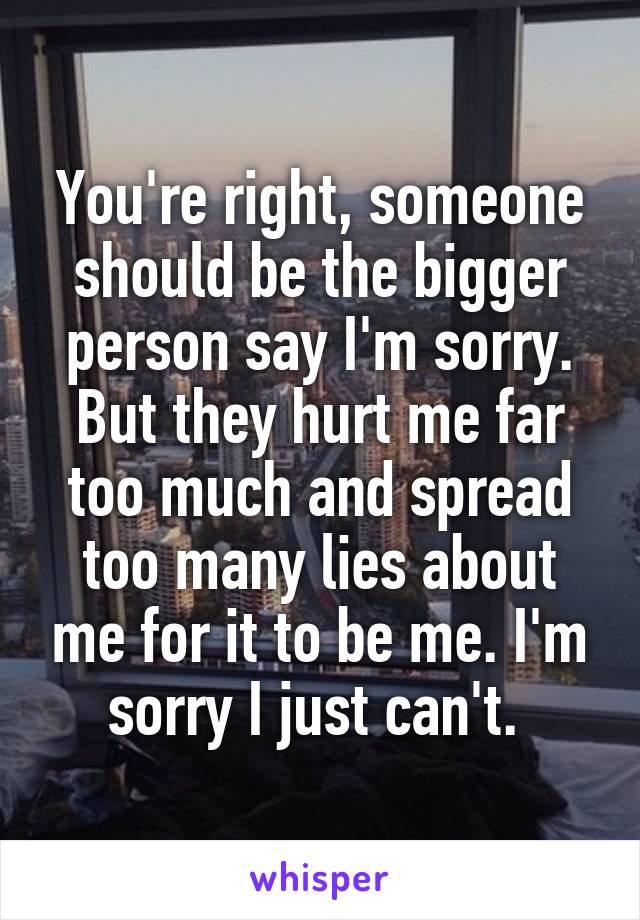 You're right, someone should be the bigger person say I'm sorry. But they hurt me far too much and spread too many lies about me for it to be me. I'm sorry I just can't. 