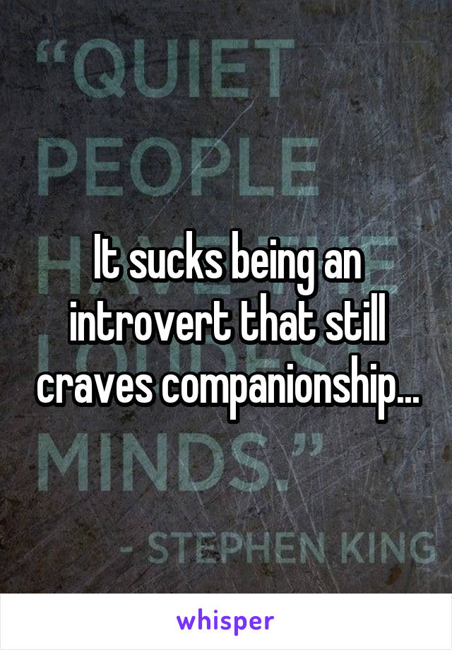 It sucks being an introvert that still craves companionship...