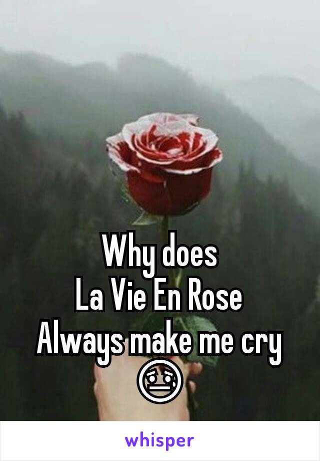 Why does
La Vie En Rose
Always make me cry
😓