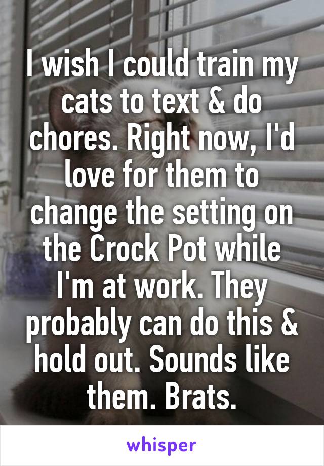 I wish I could train my cats to text & do chores. Right now, I'd love for them to change the setting on the Crock Pot while I'm at work. They probably can do this & hold out. Sounds like them. Brats.