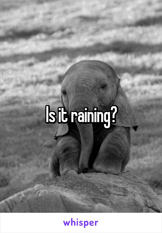 Is it raining?