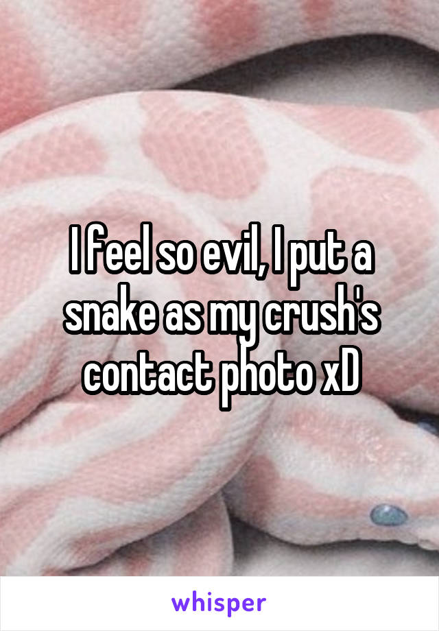 I feel so evil, I put a snake as my crush's contact photo xD