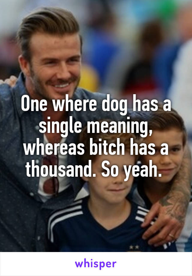 One where dog has a single meaning, whereas bitch has a thousand. So yeah. 