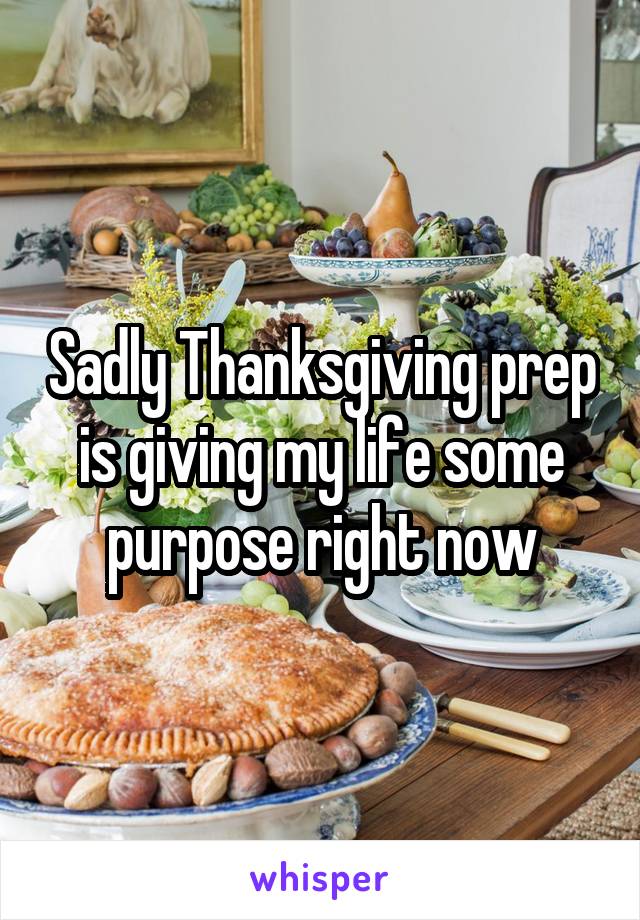 Sadly Thanksgiving prep is giving my life some purpose right now